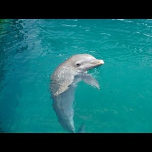 Meet your Posher, Annann sutherland